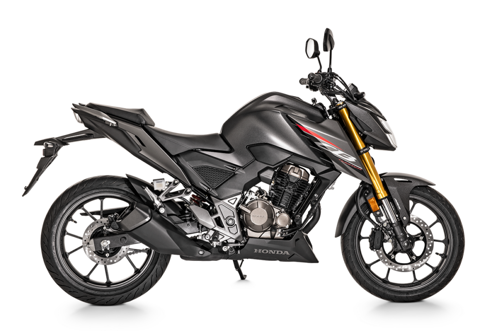 perfil der negra (1)